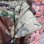 画像3: DEAD STOCK 1985's US Military Woodland Camo BDU Pants　Size MEDIUM-REGULAR