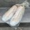 画像14: DEAD STOCK 1982's MINER INDUSTRIES US ARMY GYM Shoes　Size 12