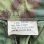 画像5: DEAD STOCK 1969's US Military Jungle Fatigue Pants ERDL Camo　Size X-SMALL-REGULAR
