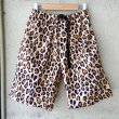 画像1: NEW Leopard Pattern Easy Shorts　Size FREE (1)