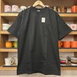 画像2: NEW CAMBER MAX WEIGHT COTTON POCKET Tee (2)