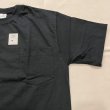 画像7: NEW CAMBER MAX WEIGHT COTTON POCKET Tee (7)