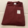 画像1: NEW CAMBER MAX WEIGHT COTTON POCKET Tee (1)