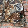 画像7: DEAD STOCK 1990’s Wrangler RealTree Camo Trucker Jacket　Size XL (7)